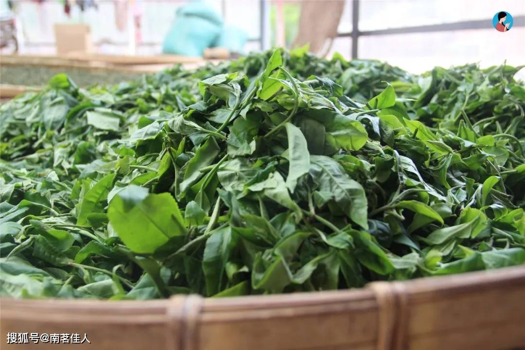 陈越香|谣言不怕多，就怕你真的相信了！