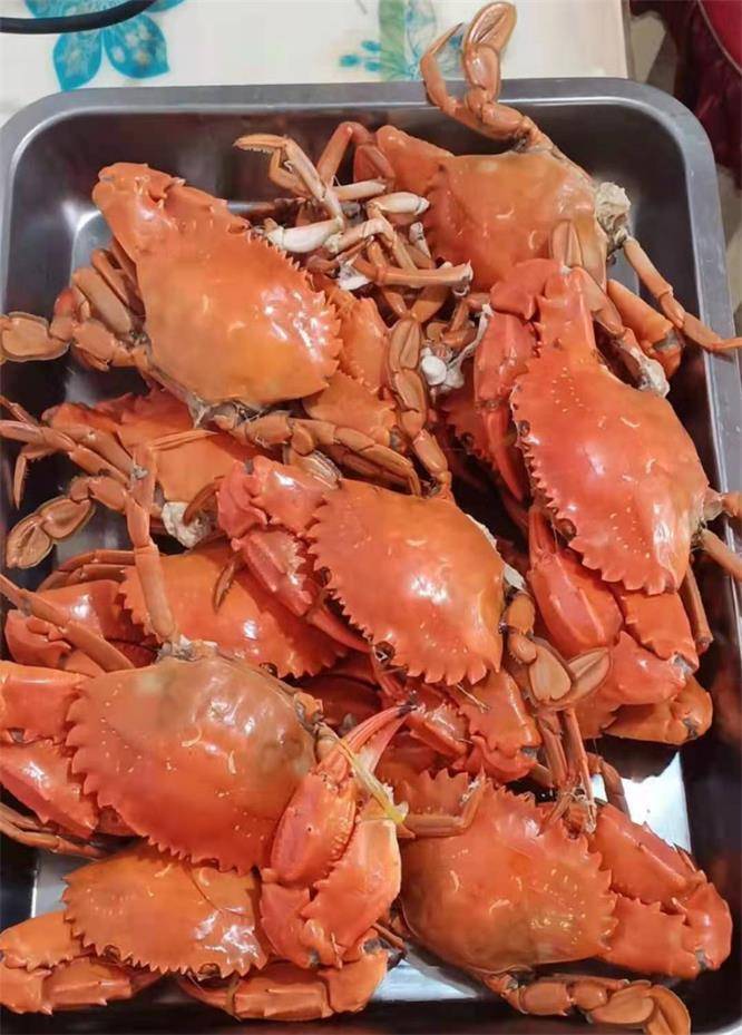 唐山乐亭温馨农家别墅水清人少景美海鲜正这里不比北戴河差