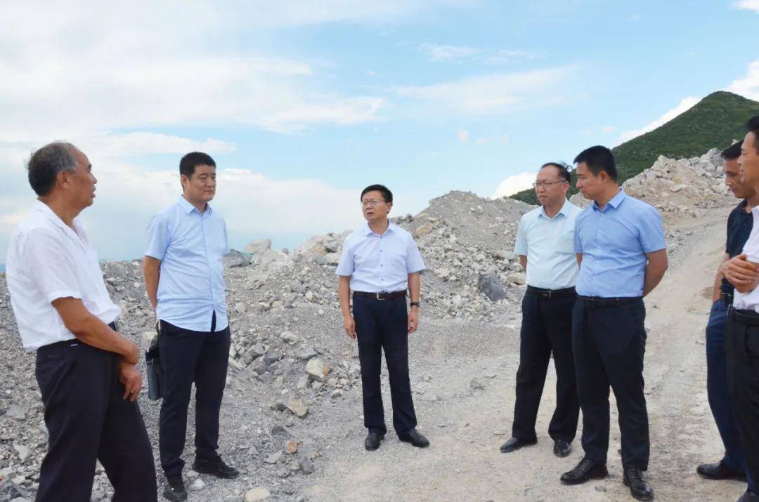 张大军一行先后到满意水泥厂,桃曲坡水库,董家河循环经济产业园等地