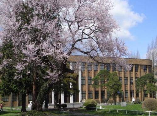 大学冷门专业有哪些 73d37f178c3e4c75a89af61c77778070.jpeg