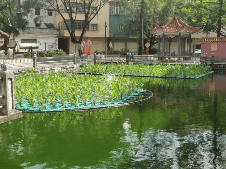 水位|人工生态浮岛自由可拼接，为您打造精美水上景观