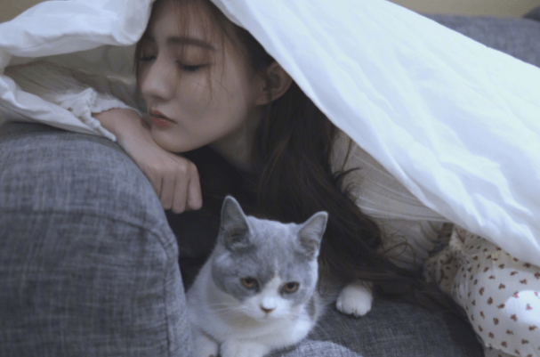 徐璐钻被窝里晒自拍和宠物猫合拍被嫌弃网友羡慕她家的猫