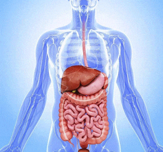 原创人类是进化失败的例子与我们同源的黑猩猩还会不会进化成人