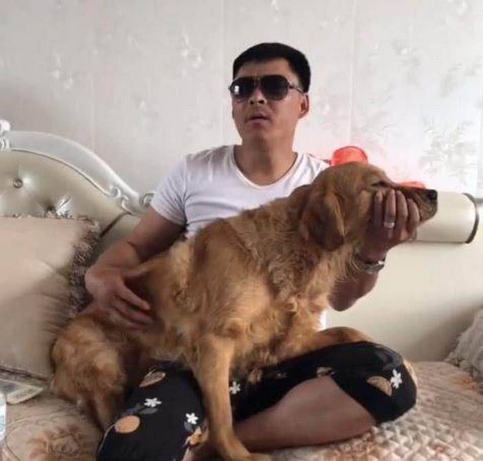 狗狗聪明乖巧善解人意，可惜遇上二货主人，这表情简直绝了