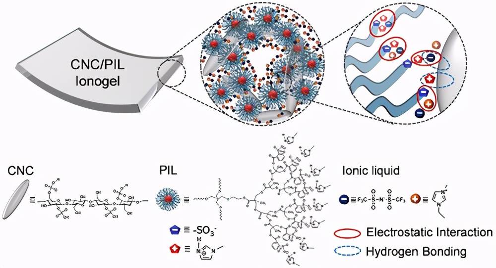 原创形状持久的高导电离子凝胶来自纤维素纳米晶网络增强的离子液体