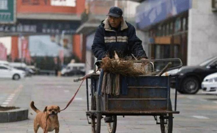流浪狗向环卫爷爷讨食,为报答一饭之恩,狗狗每日帮忙打扫大街 流浪狗向环卫爷爷讨食,为报答一饭之恩,狗狗每日帮忙打扫大街
