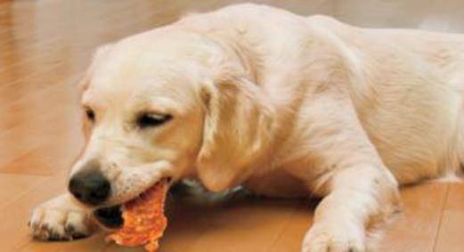 如何给狗狗喂肉更健康 82aeac6daa82400d92edde96e0358c03.jpeg