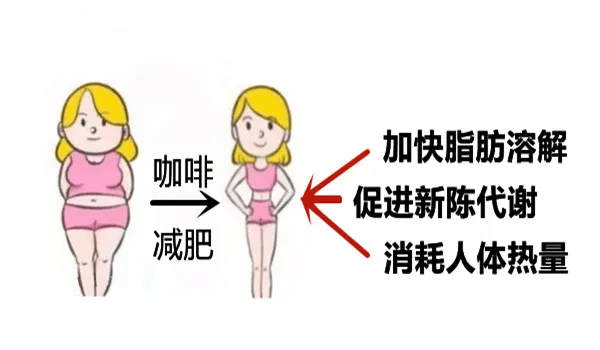 93e8b53394a944ae9f045e61b2d698b4.png