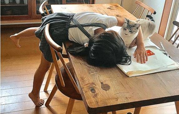 猫咪试图阻止小主人写作业，最后却被她给打败了，猫：谁还不是个宝宝