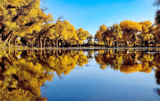 鄂尔多斯旅游攻略10月 e59324f9667a46eba8c94b36fc8d6738.png