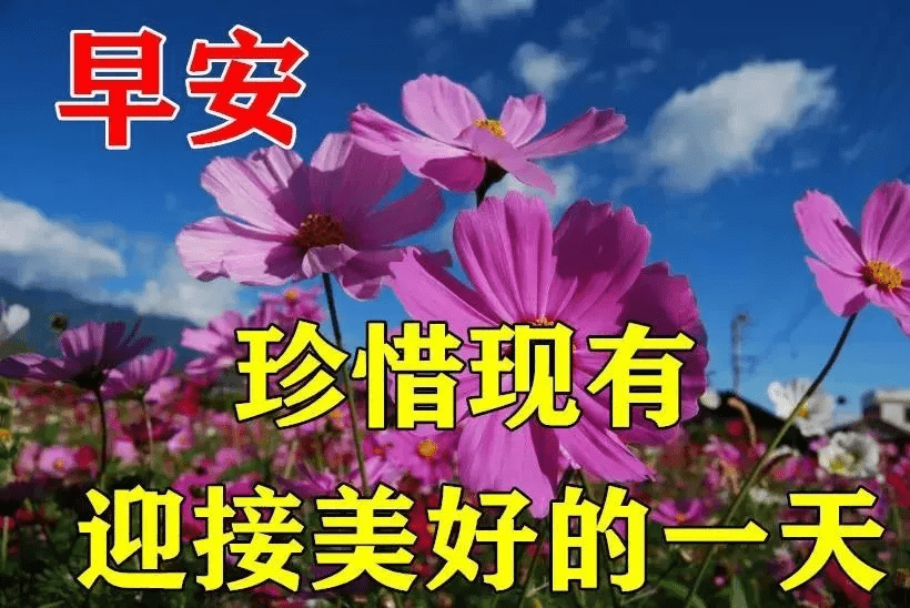 5e874c4be5e8467eadf5287ec777fbc8.png