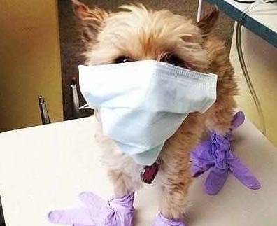 垃圾|搞笑gif图片笑话段子：阿姨，你先去洗洗脸我再亲你