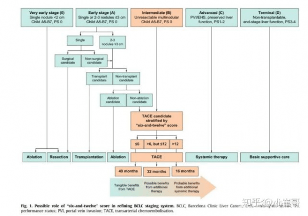肿瘤|肝癌吃靶向药能活多久？仑伐替尼可以维持几年？