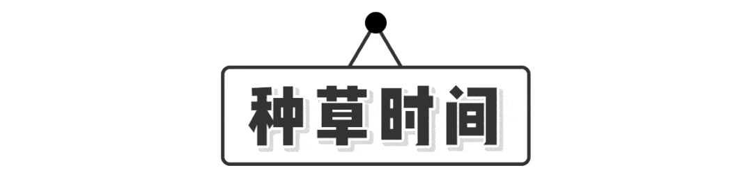 姐妹|15套甜到齁的情侣穿搭！百搭巨洋气，回头率200%！