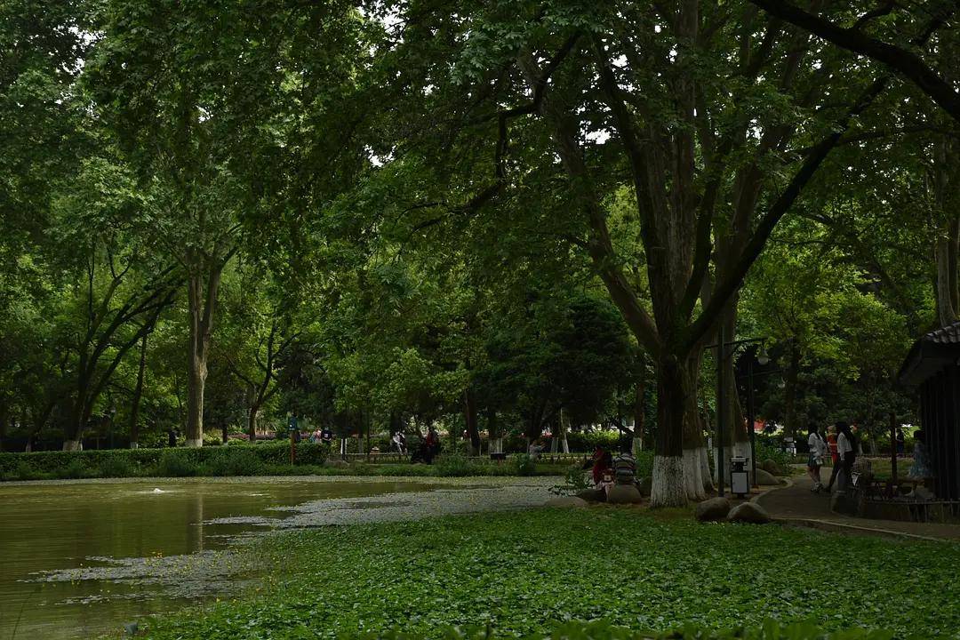 幼儿园|绿就一个字，可是已经把全世界都融化了（一个幼儿园教师的快乐暑假）