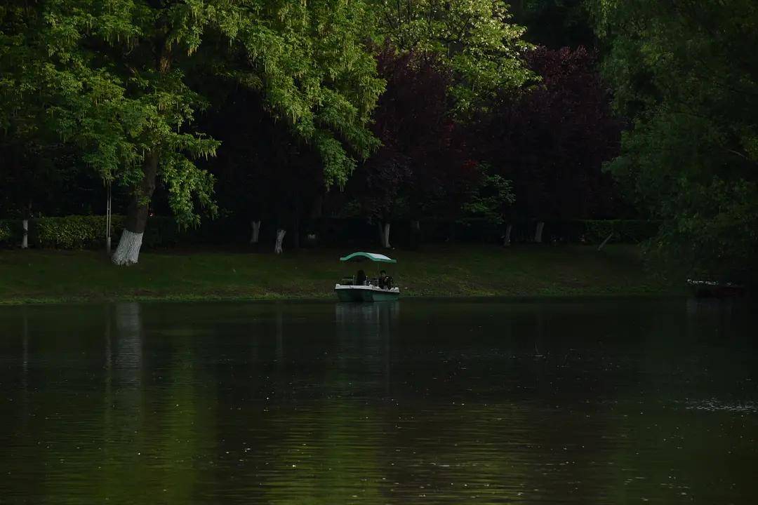 幼儿园|绿就一个字，可是已经把全世界都融化了（一个幼儿园教师的快乐暑假）