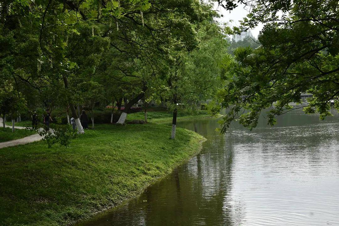 幼儿园|绿就一个字，可是已经把全世界都融化了（一个幼儿园教师的快乐暑假）