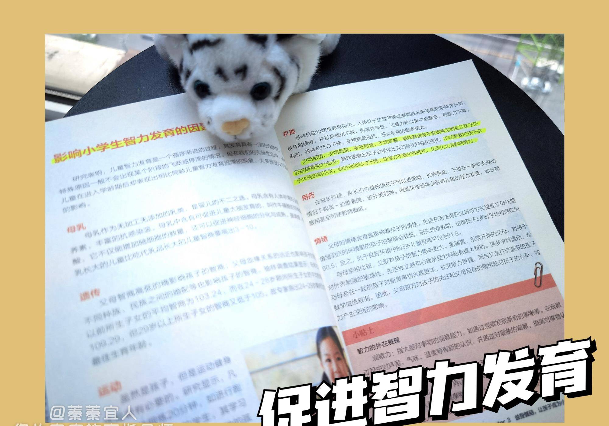 钟老|钟南山院士：早餐马虎不得，否则孩子没食欲、爱生病，还长不高