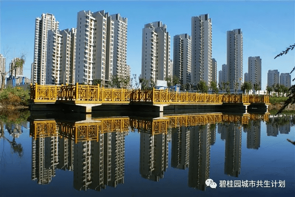 「市政创新」天津市军粮城老旧社区旧改100天焕然一新