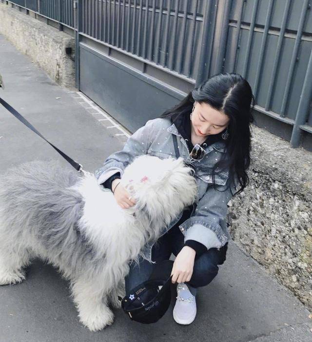 黑色|刘亦菲风衣搭连衣裙，时尚知性美感十足！