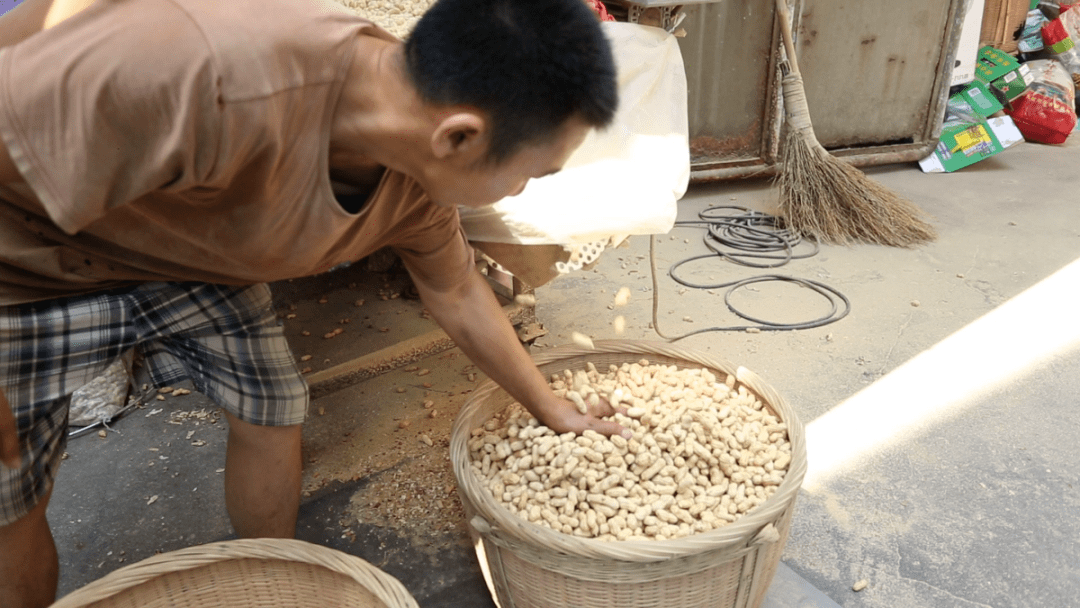 龙岩|龙岩市新罗区红坊镇上洋村：传承红色基因 共谋致富道路