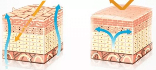 用户|全新升级2 | 日间持续抗氧化,由内而外的呵护,打造透亮日光肌