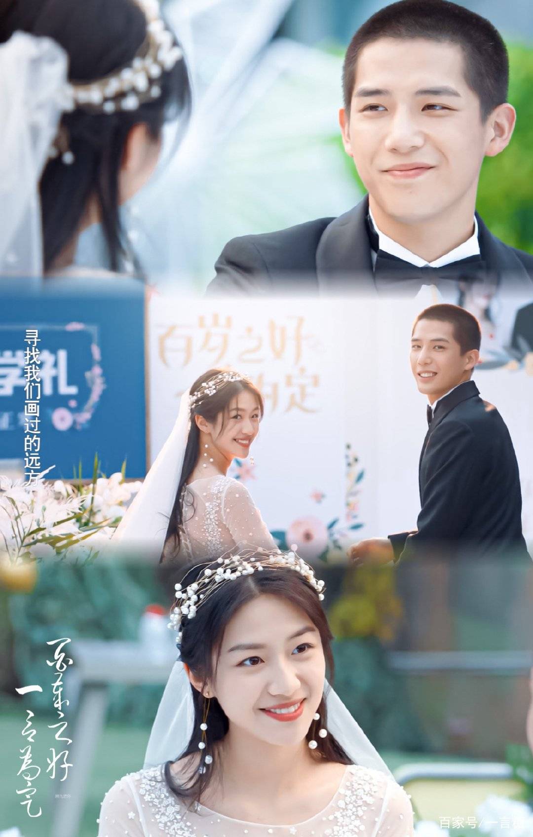 青春|《百岁之好，一言为定》开局就让人上头，学霸CP的甜宠青春剧