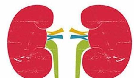 治疗|当肌酐开始升高，我们能做些什么？