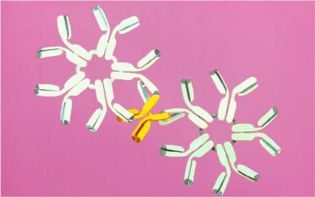 消毒|女子喝剩鸡汤后头痛，去医院竟查出李斯特菌脑膜炎