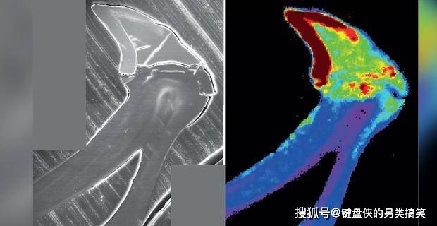 金属是怎么被发现的 fa01da0359bc4649a68eca2e63576cf5.jpeg