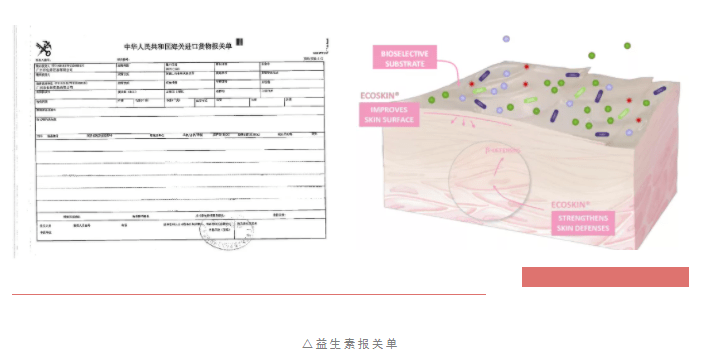 睡美人|全新升级3 | 夜间修护必备，滋养润肤一整夜，轻松做个“睡美人”