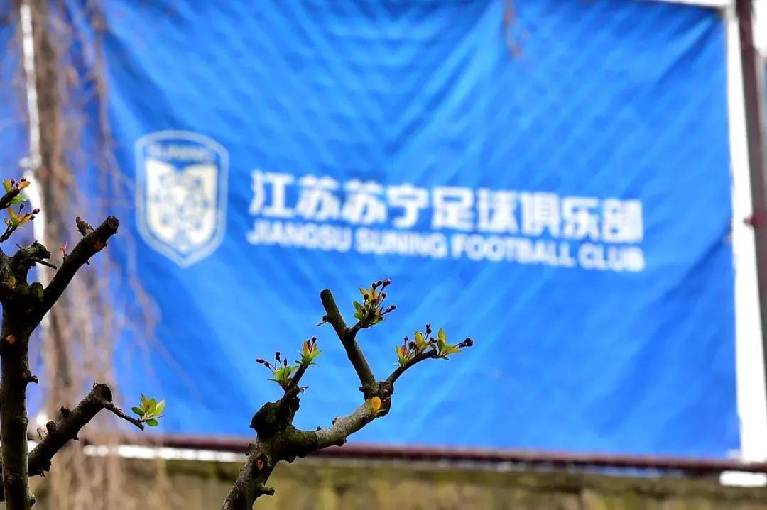 中国球员维权必学！足球仲裁权威人士为业界普法