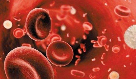 手脚|桑葚酒的功效与作用，喝桑葚酒还可以补肾益气，答案是对的