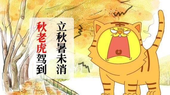 秋老虎|立秋三防！了解传统习俗禁忌