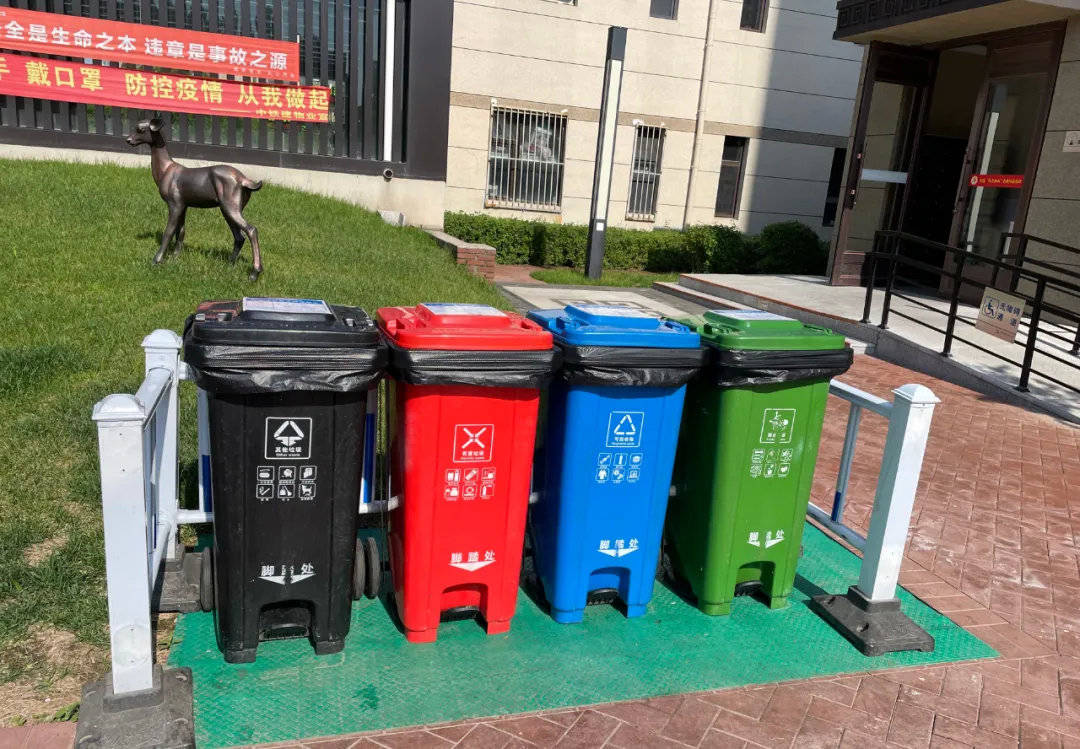 长春新区:践行垃圾分类 为创文明城市添彩