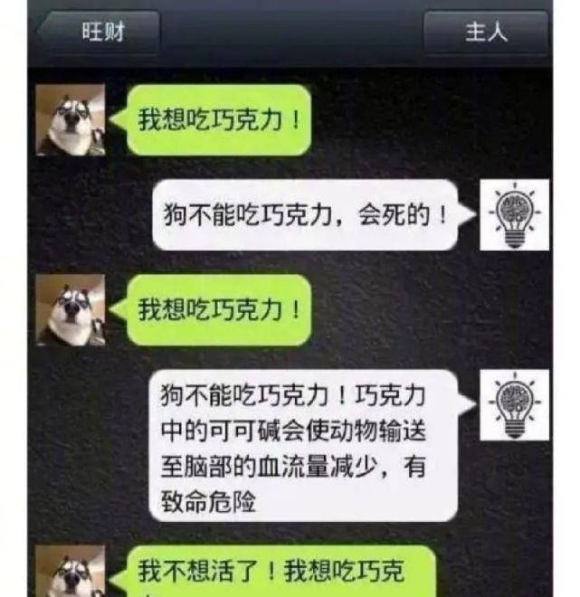 意思|如果哈士奇会发微信会怎样？哈哈不愧是二哈，有被笑到
