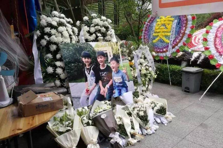 原创林生斌树人设敛财保姆莫焕晶律师发声曾有电话阻挠120救人