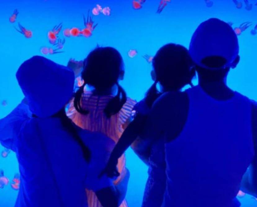 张总|谢娜产子希望落空？品牌方证实二胎是女儿，孩子出生后迟迟未公布！