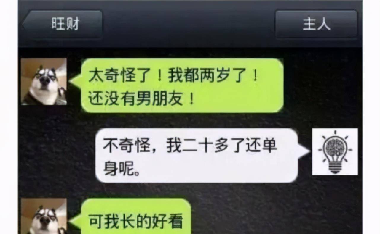 意思|如果哈士奇会发微信会怎样？哈哈不愧是二哈，有被笑到