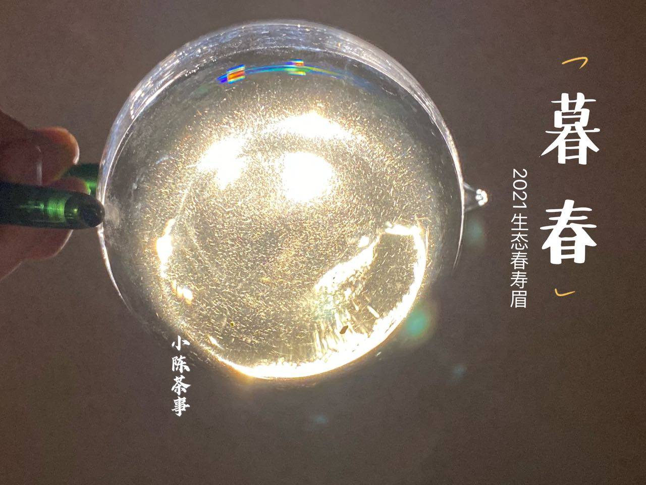 因为|新人买白茶的4大铁律,村姑陈分享多年买茶经验,学会了就是赢家