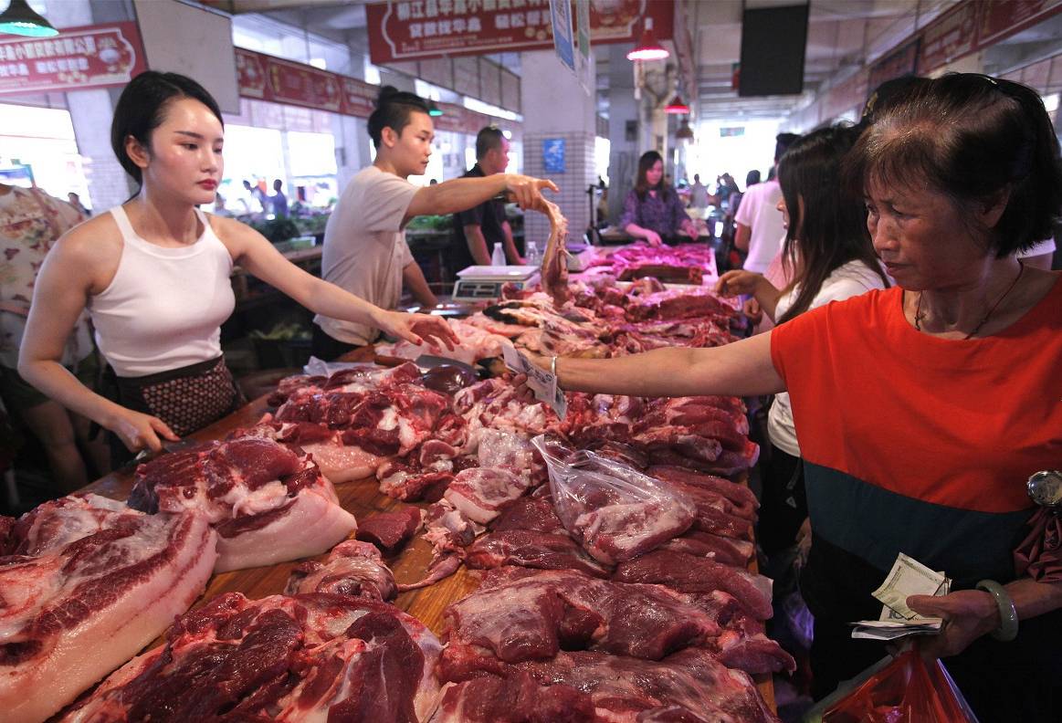 母猪|八月七日-明天猪价：猪价一路上涨， 抢猪又将开启？8月还能涨吗？