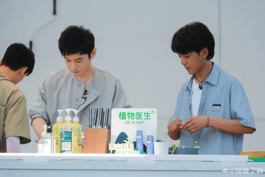 植物|植物医生成《中餐厅5》指定产品，共同弘扬国潮美食文化