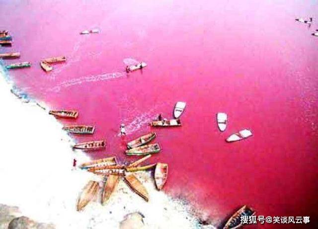 世界上最浪漫的湖泊，湖面呈粉红色，是婚纱照取景的绝佳之地