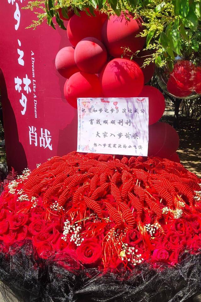 卫视|肖战粉丝“壮举”出圈！权威官方公布肖战“新行程”，用意太暖心！