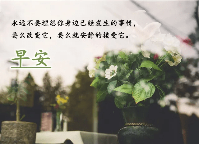 e7d2b938bc00413ebccd4e8bd7c93803.png