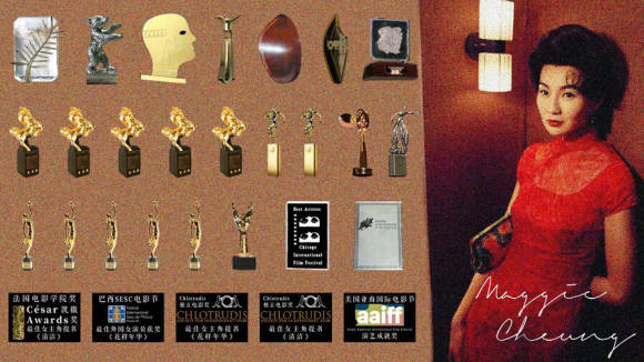 金马奖五座,金像奖五座,其他的法国戛纳影后,德国柏林影后,加拿大