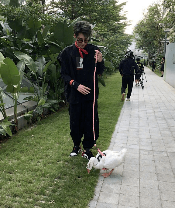 形象|有种“时尚”叫吴亦凡溜鹅，男模打扮帅出新高，一般男星真做不到