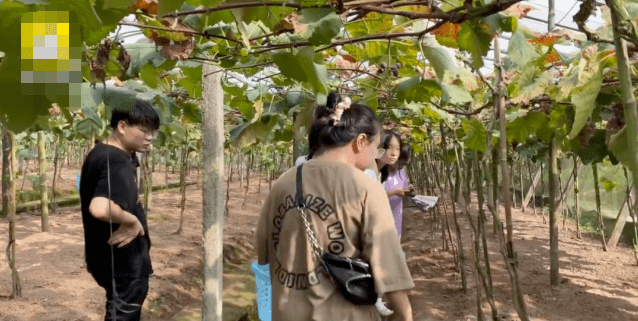 因为|“地表最强舅舅”16个外甥，暑假独自带11个娃，一天就要花1500元