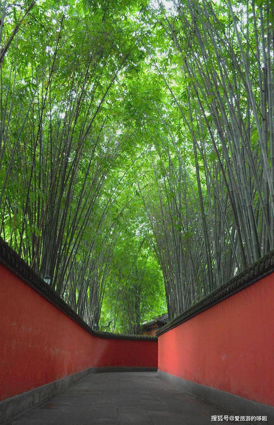 武侯祠最美的地方,就是红墙竹影.