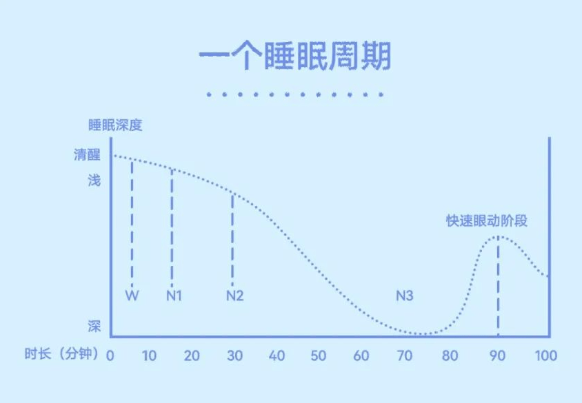 睡眠日图表图片